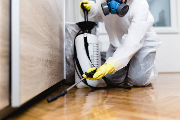 Best Flea Control Services  in Cade, LA
