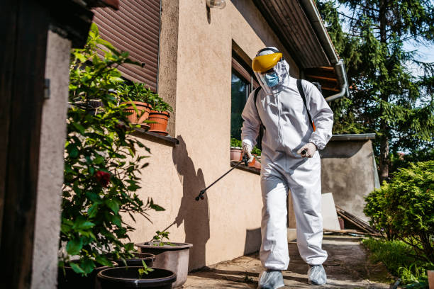 Best Wasp Removal Services  in Cade, LA