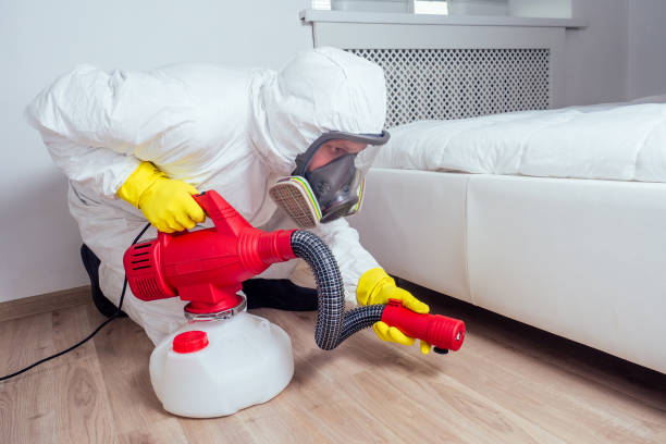 Best Local Pest Control Services  in Cade, LA