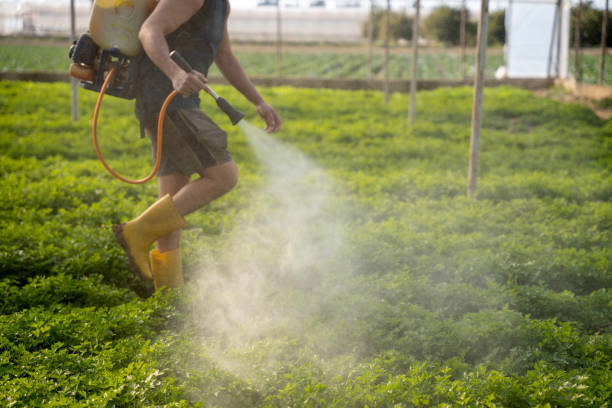 Best Pest Removal Services  in Cade, LA